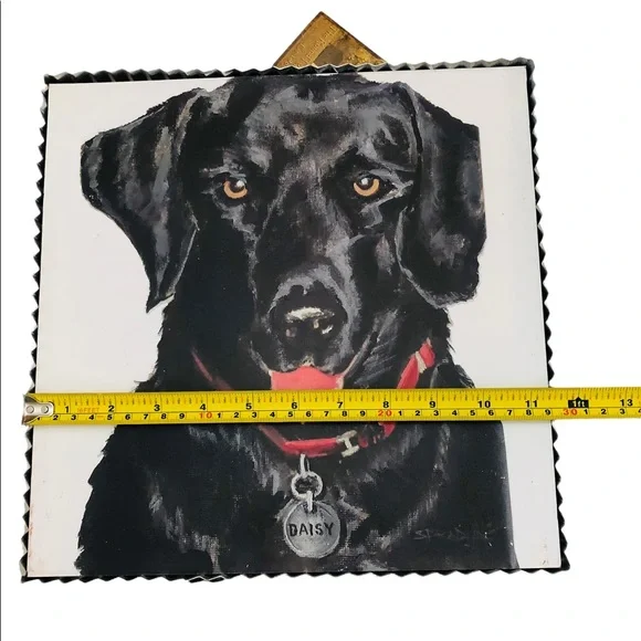 Black Lab Picture - Picture 5 of 7